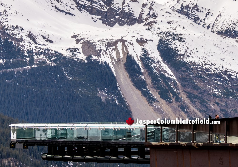 Glacier Skywalk's Glass Floor