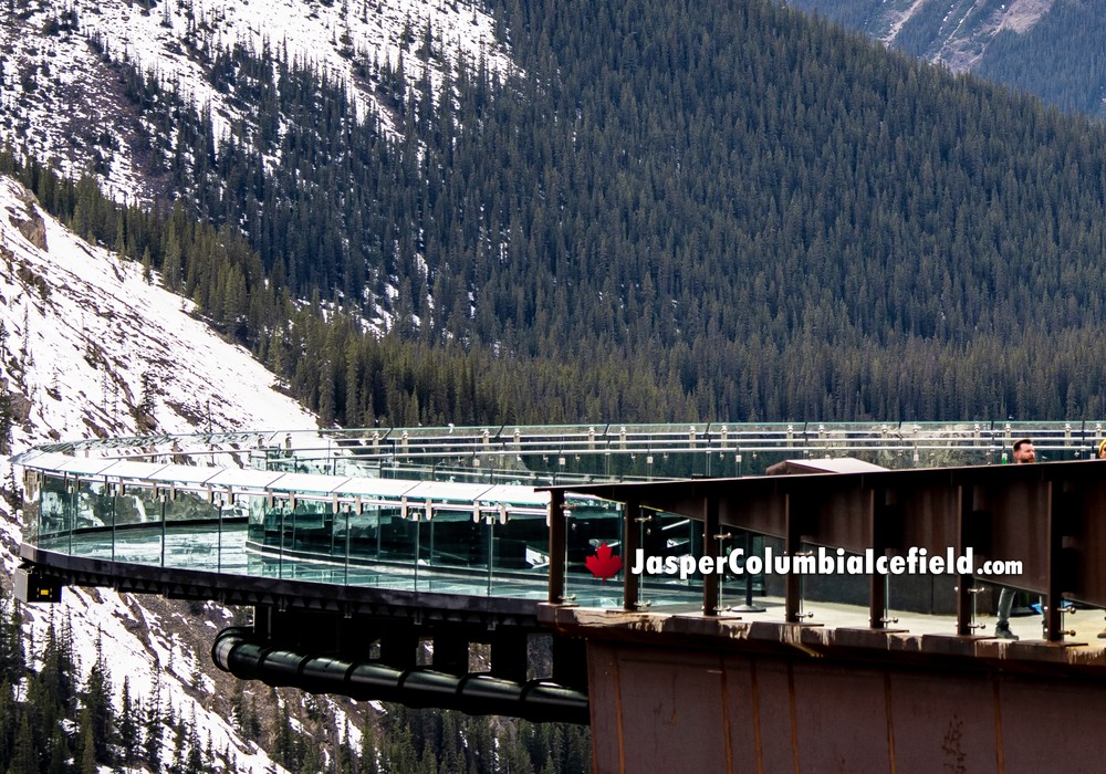 Glacier Skywalk Glass Walkway