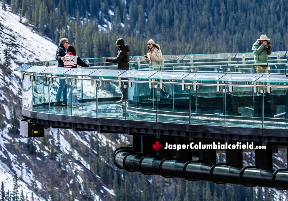 Spring Glacier Skywalk Details